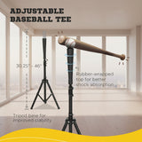 Portable batting practice net with ball caddy